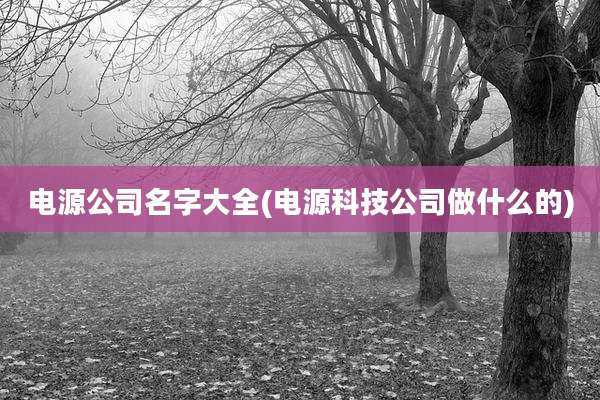 电源公司名字大全(电源科技公司做什么的)