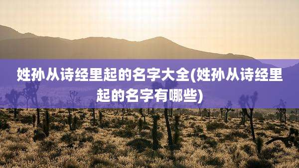 姓孙从诗经里起的名字大全(姓孙从诗经里起的名字有哪些)