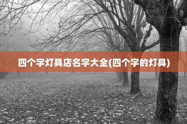 四个字灯具店名字大全(四个字的灯具)
