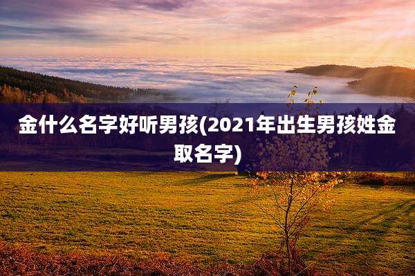 金什么名字好听男孩(2021年出生男孩姓金取名字)