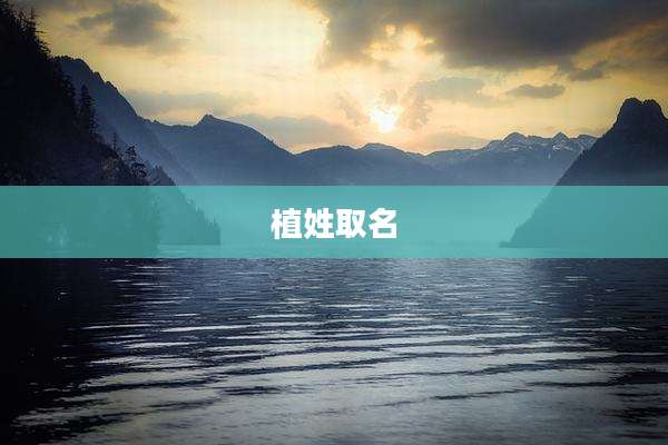 植姓取名