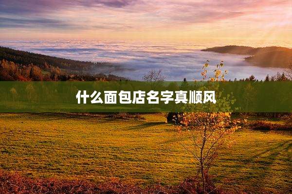 什么面包店名字真顺风