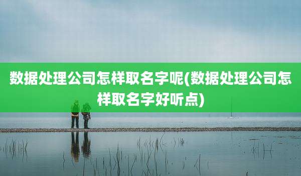 数据处理公司怎样取名字呢(数据处理公司怎样取名字好听点)