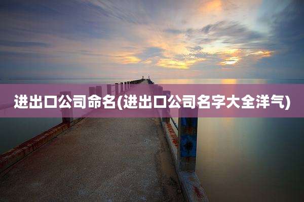 进出口公司命名(进出口公司名字大全洋气)