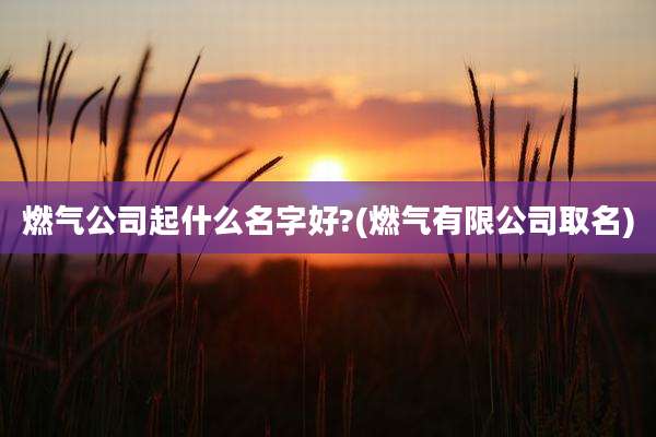 燃气公司起什么名字好?(燃气有限公司取名)