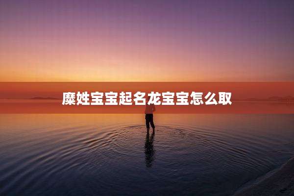 糜姓宝宝起名龙宝宝怎么取