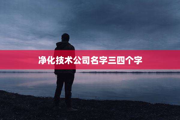 净化技术公司名字三四个字