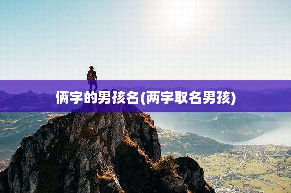 俩字的男孩名(两字取名男孩)
