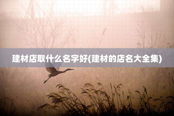 建材店取什么名字好(建材的店名大全集)