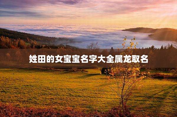 姓田的女宝宝名字大全属龙取名