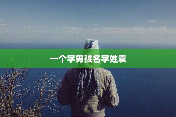 一个字男孩名字姓袁