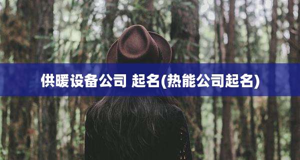 供暖设备公司 起名(热能公司起名)