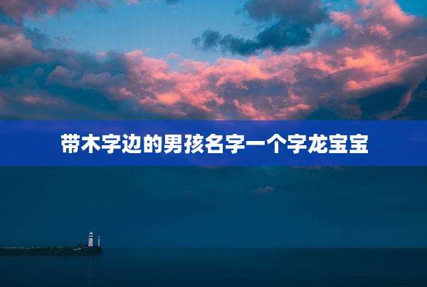 带木字边的男孩名字一个字龙宝宝
