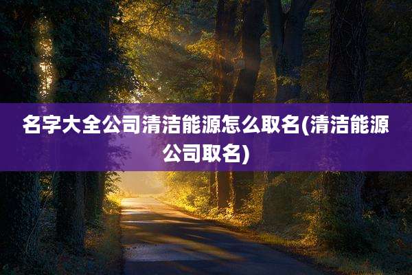 名字大全公司清洁能源怎么取名(清洁能源公司取名)
