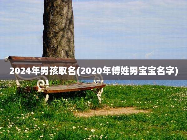 2024年男孩取名(2020年傅姓男宝宝名字)