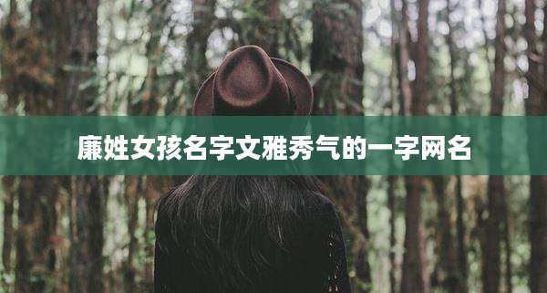 廉姓女孩名字文雅秀气的一字网名