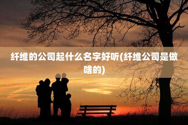 纤维的公司起什么名字好听(纤维公司是做啥的)