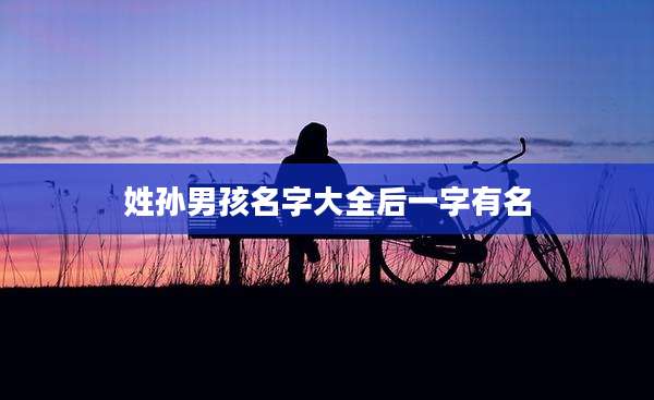 姓孙男孩名字大全后一字有名