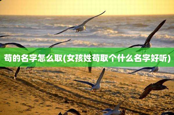 苟的名字怎么取(女孩姓苟取个什么名字好听)