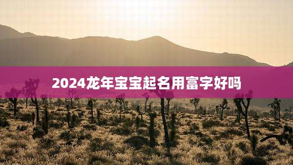 2024龙年宝宝起名用富字好吗