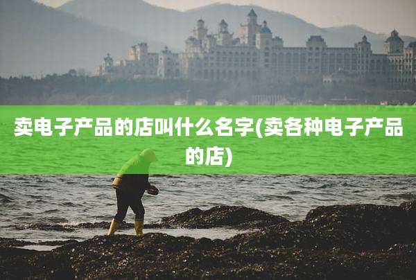 卖电子产品的店叫什么名字(卖各种电子产品的店)