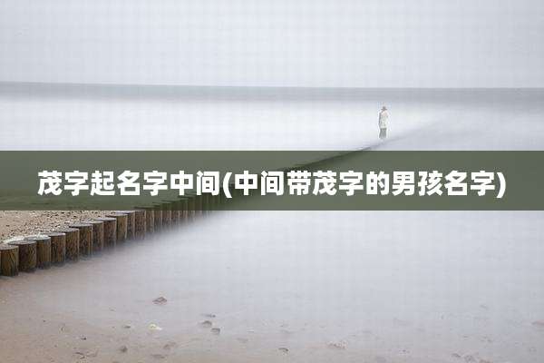 茂字起名字中间(中间带茂字的男孩名字)