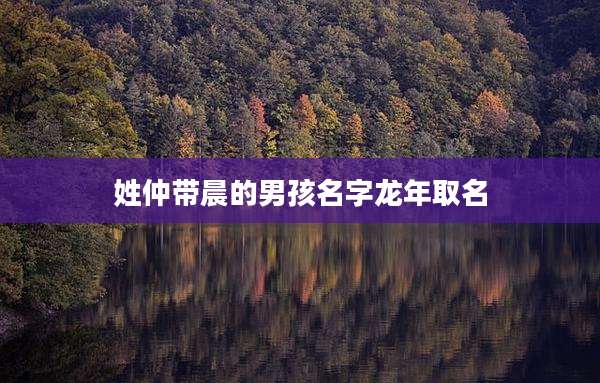 姓仲带晨的男孩名字龙年取名