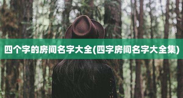 四个字的房间名字大全(四字房间名字大全集)
