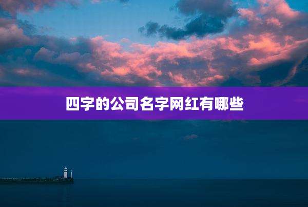 四字的公司名字网红有哪些