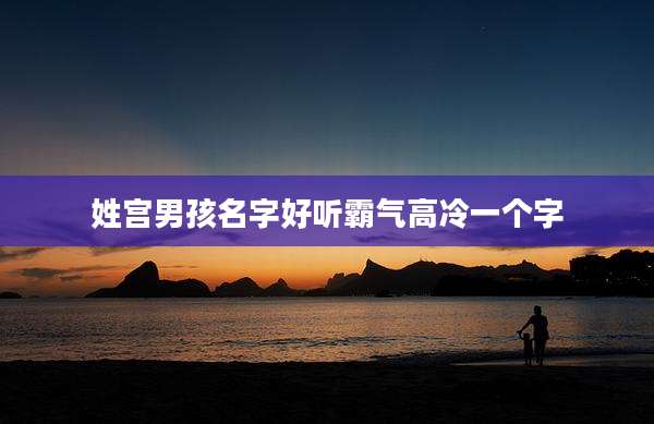 姓宫男孩名字好听霸气高冷一个字