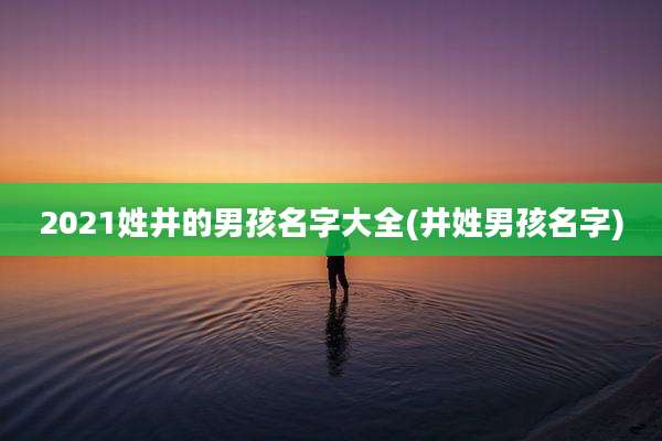 2021姓井的男孩名字大全(井姓男孩名字)