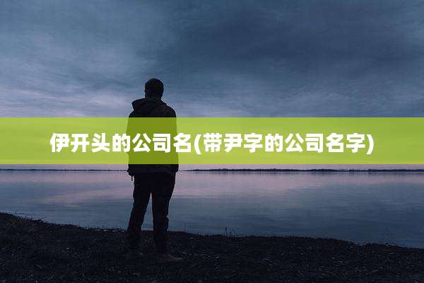 伊开头的公司名(带尹字的公司名字)