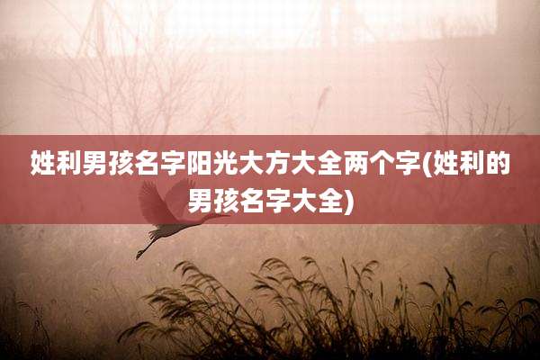 姓利男孩名字阳光大方大全两个字(姓利的男孩名字大全)