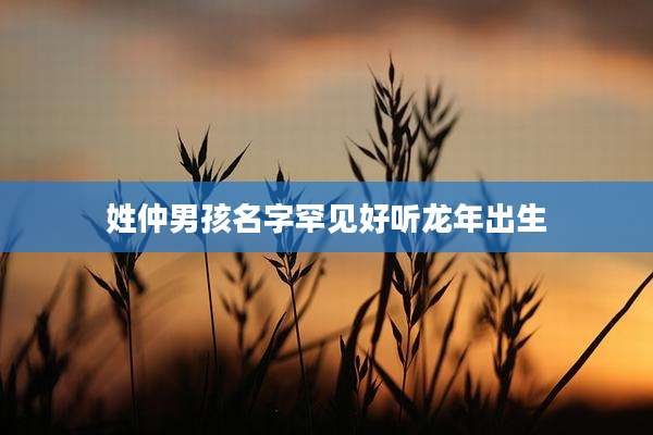 姓仲男孩名字罕见好听龙年出生