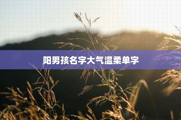阳男孩名字大气温柔单字