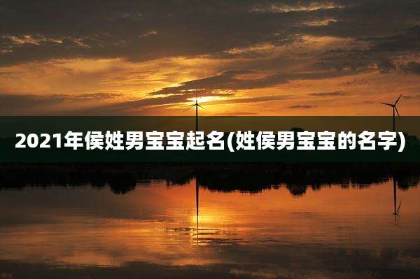 2021年侯姓男宝宝起名(姓侯男宝宝的名字)