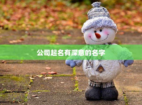 公司起名有深意的名字