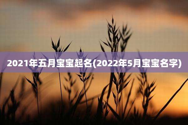 2021年五月宝宝起名(2022年5月宝宝名字)
