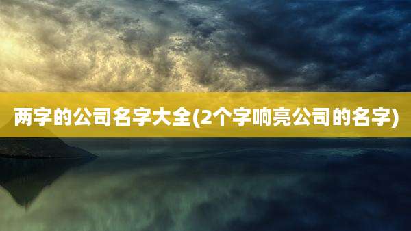 两字的公司名字大全(2个字响亮公司的名字)