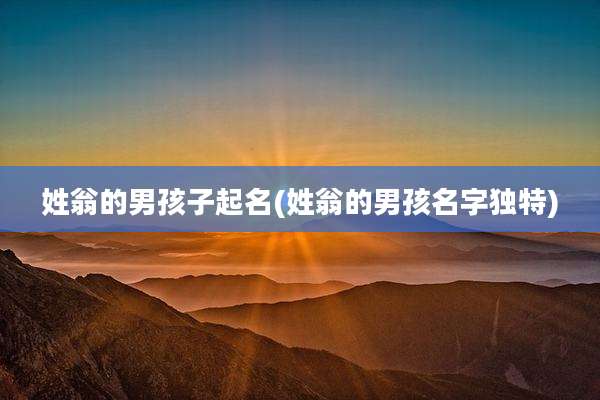 姓翁的男孩子起名(姓翁的男孩名字独特)