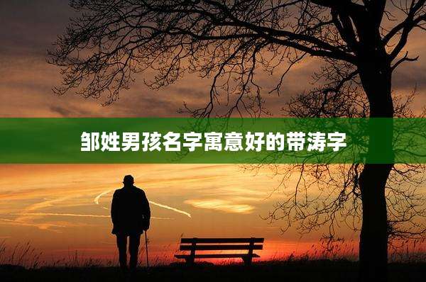 邹姓男孩名字寓意好的带涛字