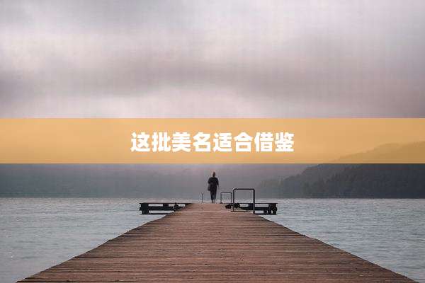 这批美名适合借鉴