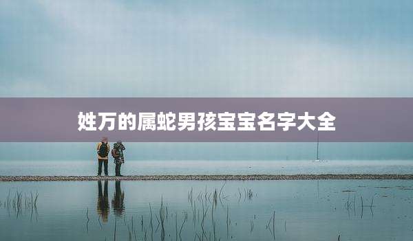 姓万的属蛇男孩宝宝名字大全