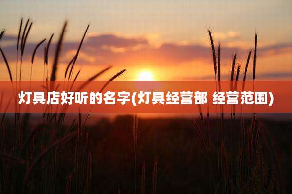 灯具店好听的名字(灯具经营部 经营范围)