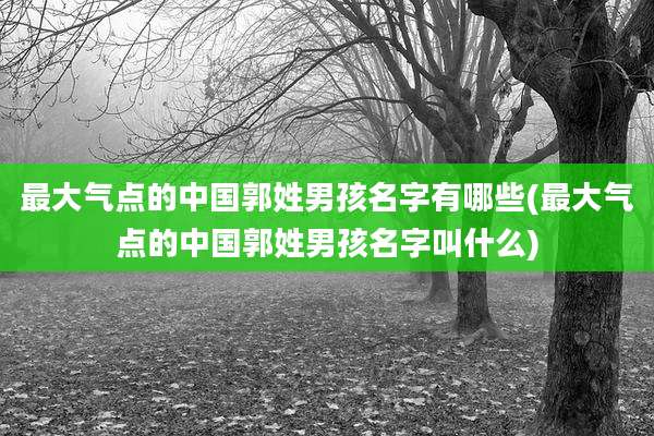 最大气点的中国郭姓男孩名字有哪些(最大气点的中国郭姓男孩名字叫什么)