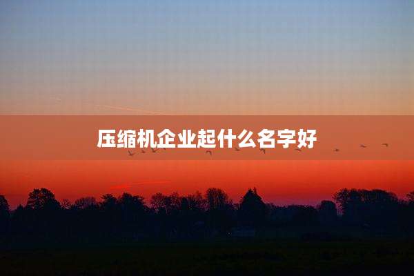 压缩机企业起什么名字好