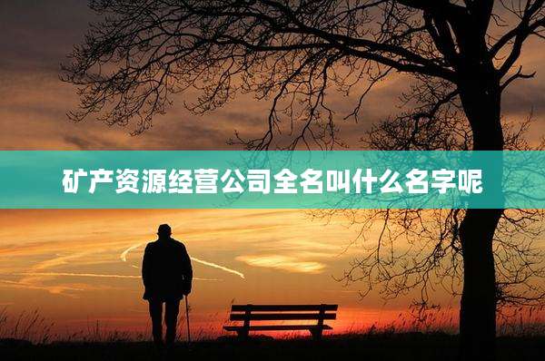 矿产资源经营公司全名叫什么名字呢