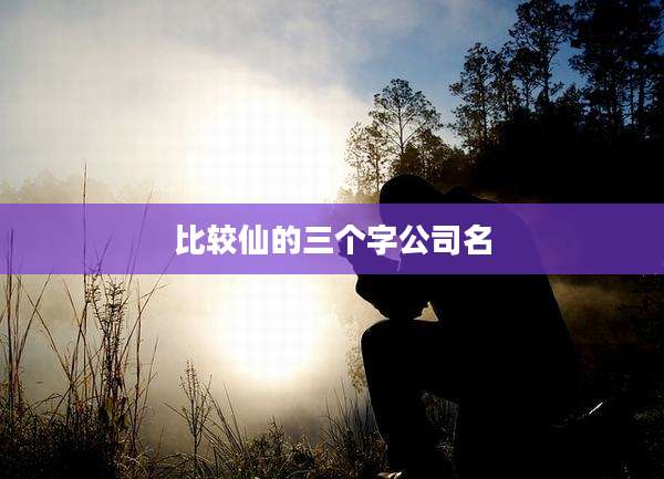 比较仙的三个字公司名