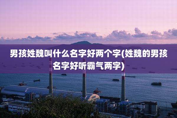男孩姓魏叫什么名字好两个字(姓魏的男孩名字好听霸气两字)