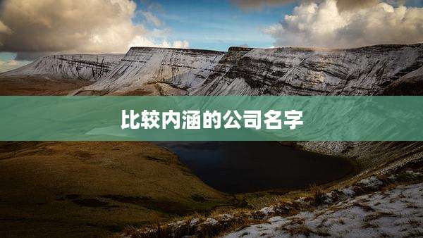 比较内涵的公司名字